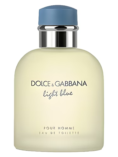 Dolce & Gabbana Light Blue Pour Homme