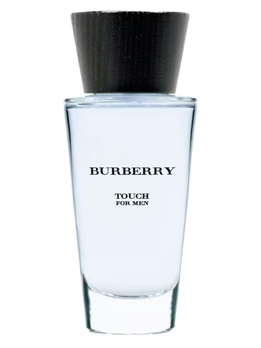 Burberry Touch For Men