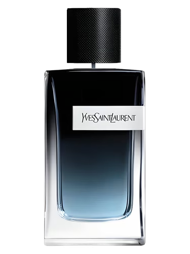 YSL Y EDP