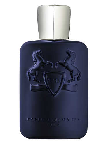 PDM Layton